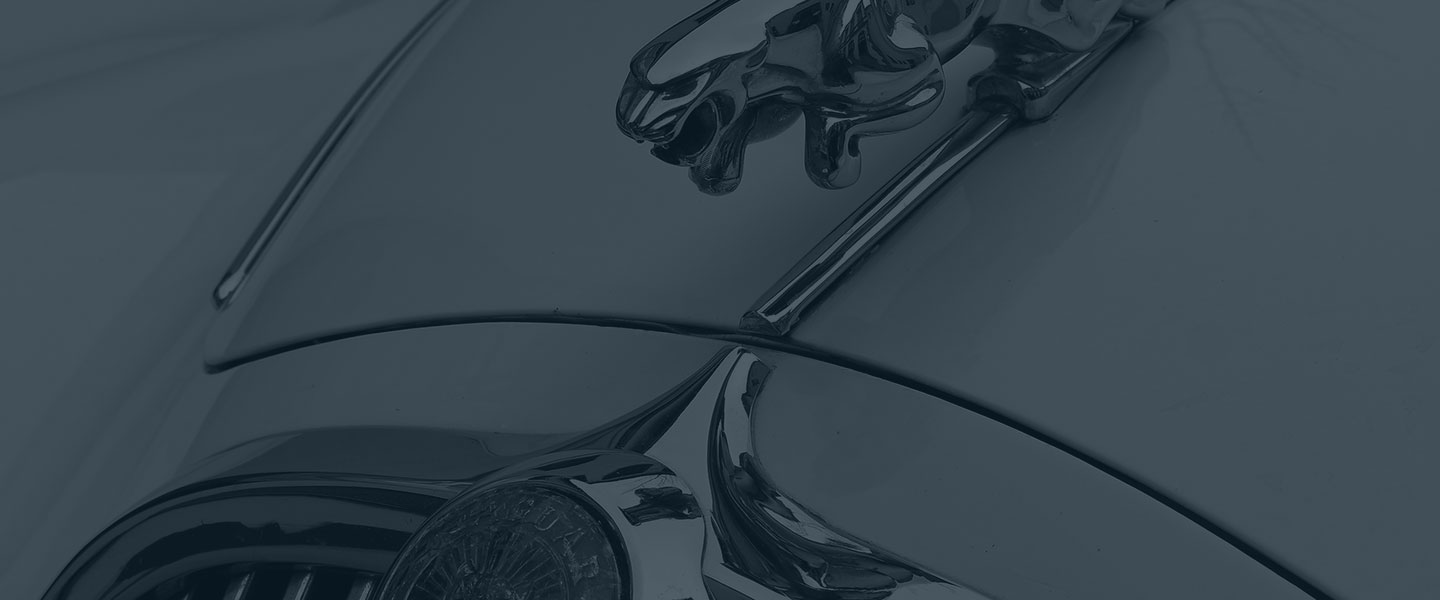 Jaguar Hood ornament on a shiny sports car