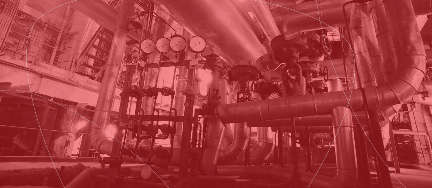 Case Study: Henkel - Digital Learning for Employee Development